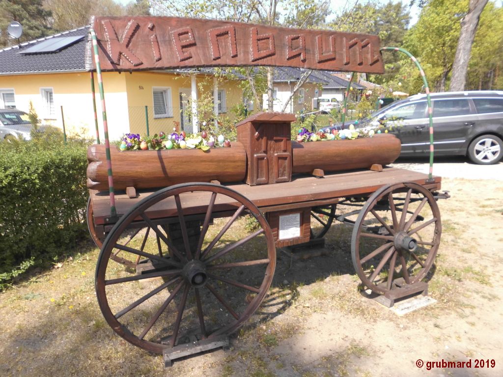 Der 'Kienbaum' am Bürgerhaus