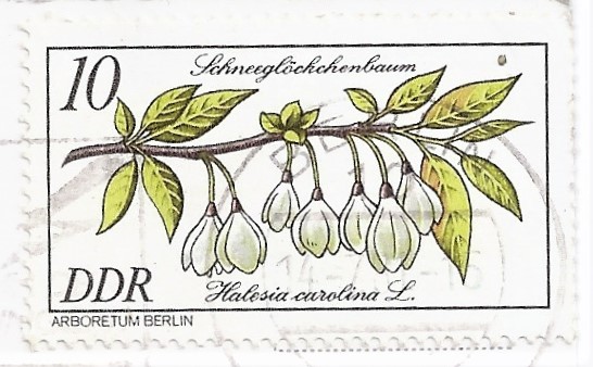 Philatelie: 10-Pfennige-Briefmarke der DDR von 1981