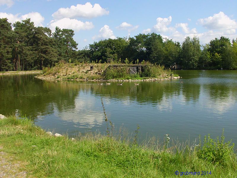 Wildpark Johannismühle bei Baruth: Wassergeflügel-Teich