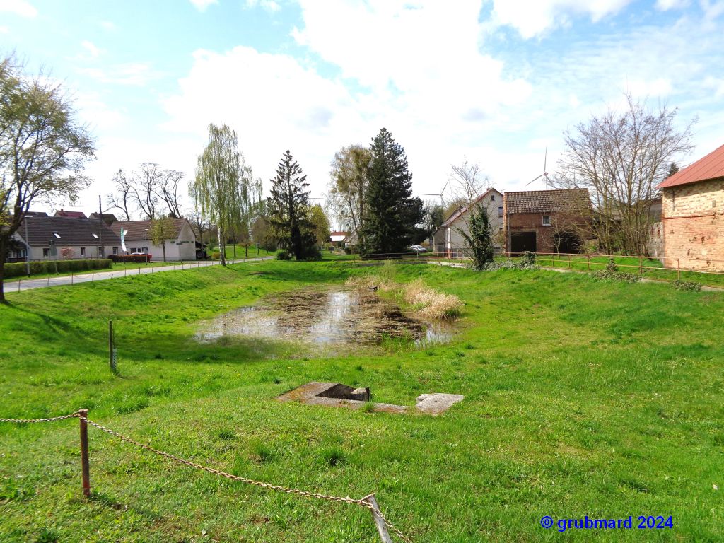 Dorfteich im Ortsteil Dolgelin