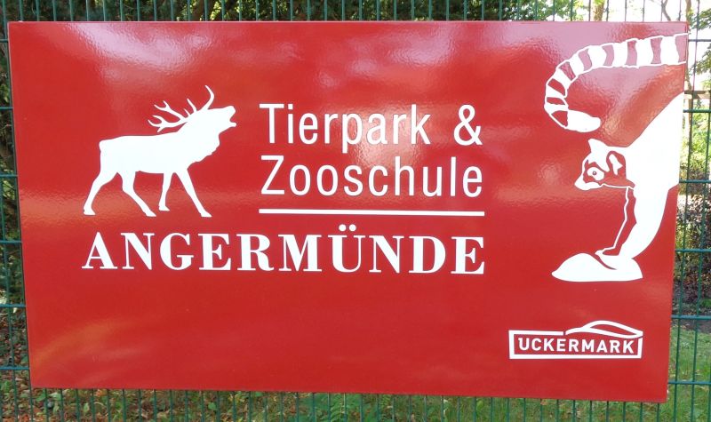 Bild 12 Tierpark in Angermünde