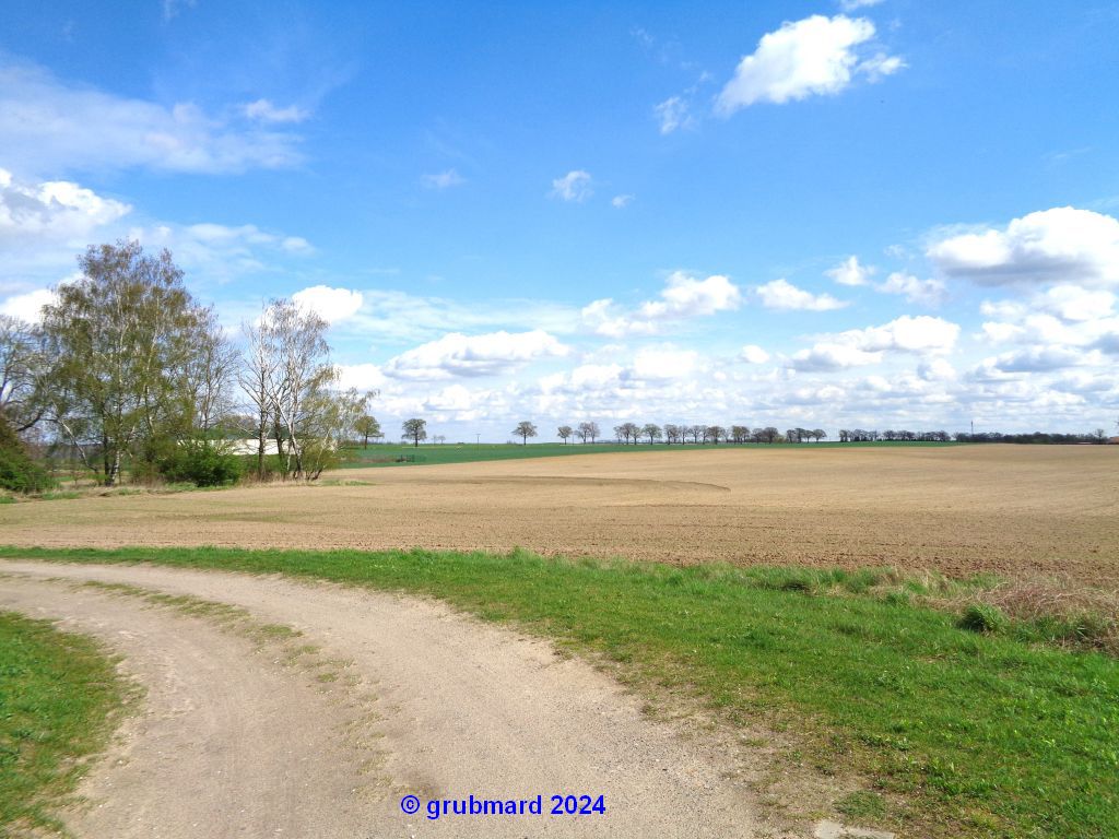 Im Amt Seelow-Land nahe Ortsteil Dolgelin