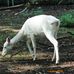 Tierpark Luckenwalde in Luckenwalde