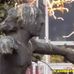 Bronze-Skulptur »Die große Palucca« auf dem Garnisonkirchplatz in Berlin