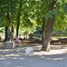 Junge Pferde - Bronzeplastik von Heinrich Drake im Tierpark Berlin in Berlin