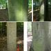 Gedenkstätte Todesmarsch im Belower Wald in Wittstock an der Dosse