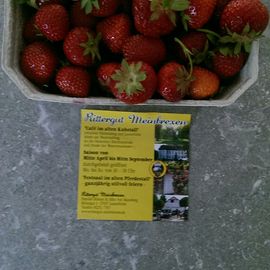 500 Gramm Erdbeeren
