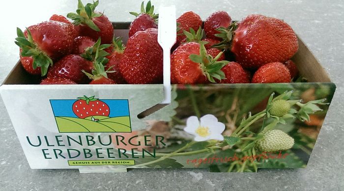 Ulenburger Erdbeeren Familie Esser