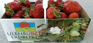 Bild zu Ulenburger Erdbeeren Familie Esser