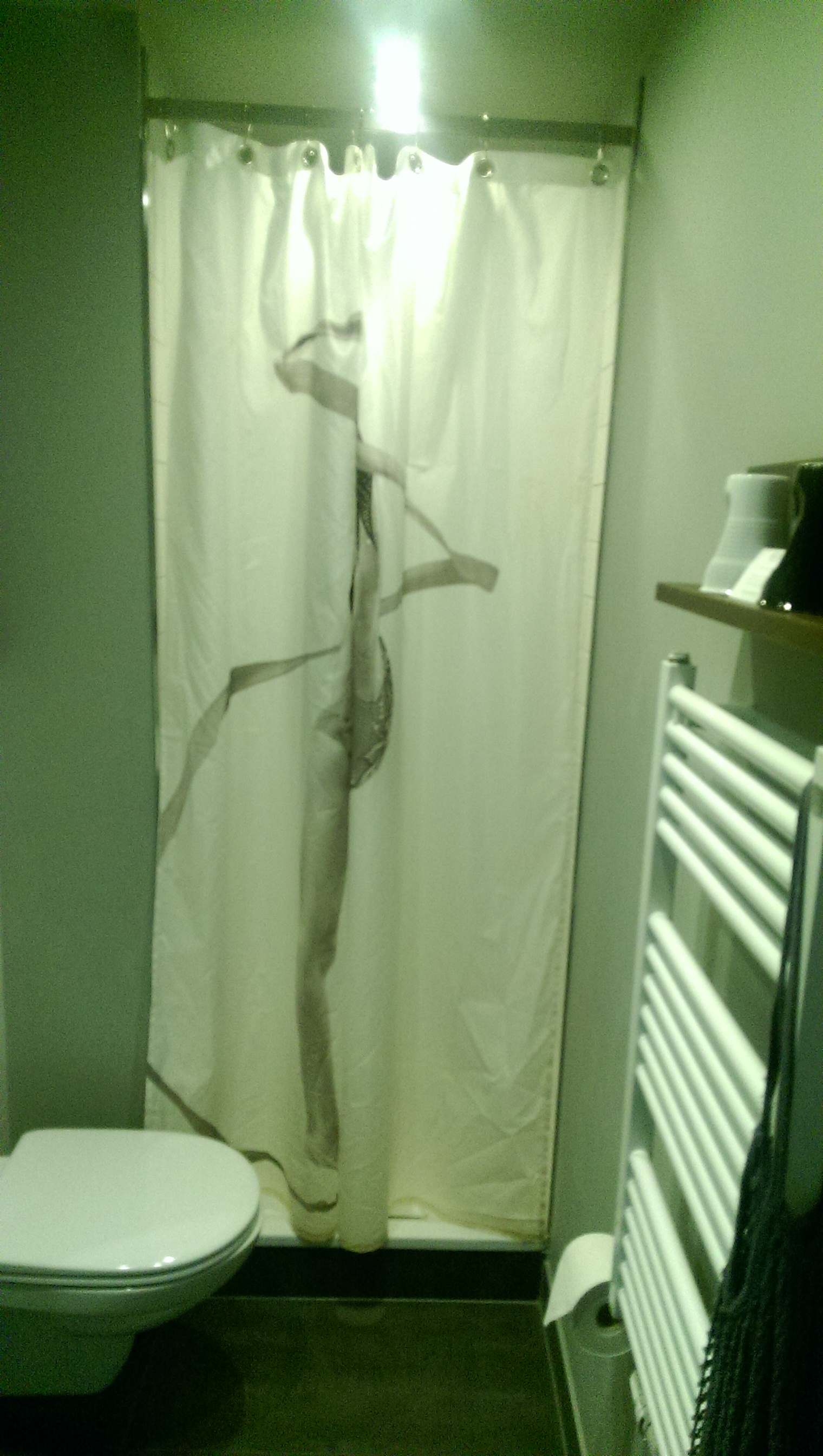 Duschvorhang in der Dusche - geht gar nicht
