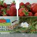 Ulenburger Erdbeeren Familie Esser in Löhne
