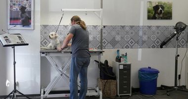 Hundesalon Für alle Felle in Bergisch Gladbach