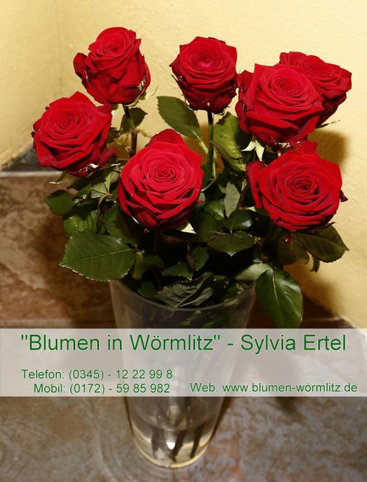 Rote Rosen - schenke mit Liebe - Blumensträuße, Blumengebinde, Blumen als Geschenk zu allen Feierlichkeiten