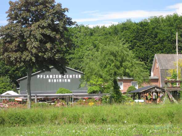 Bild 2 Pflanzen-Center Sibirien-Inh. Nils Tormählen in Elmshorn