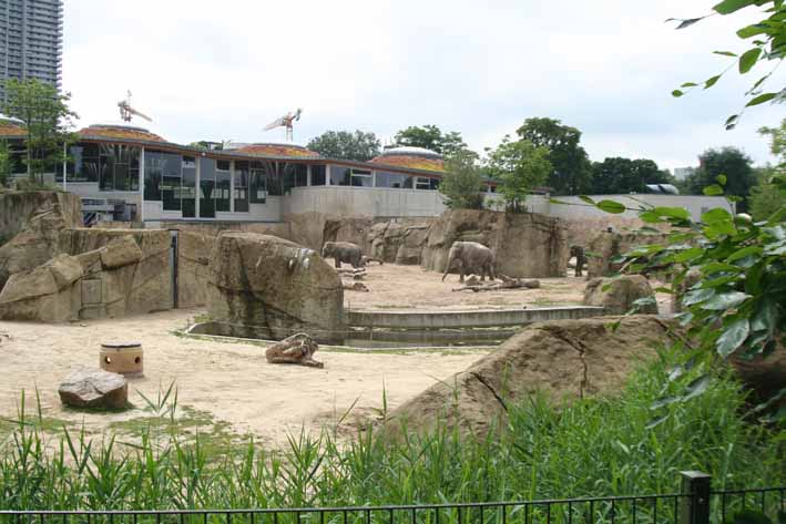 Bild 383 Zoologischer Garten Köln AG in Köln