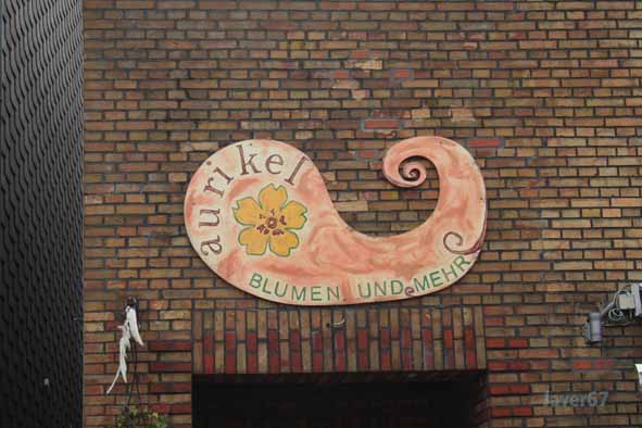 Bild 2 Aurikel Blumen Inh. Frauke Heinrich in Barmstedt