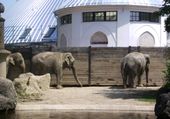 Nutzerbilder Münchener Tierpark Hellabrunn