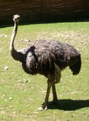 Nutzerbilder Münchener Tierpark Hellabrunn