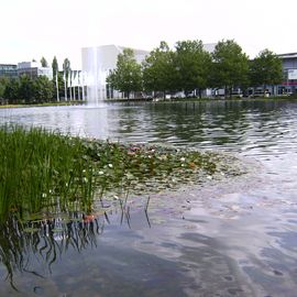 Blick auf Messe- und Congress-Zentrum