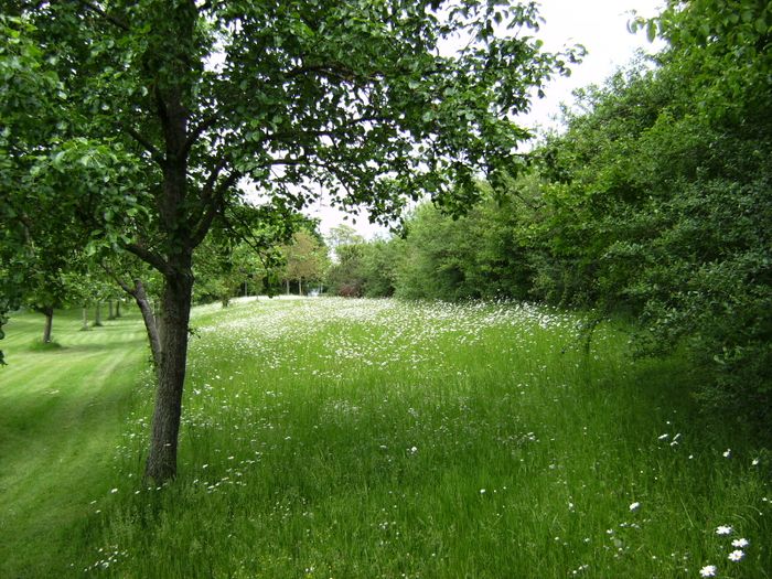 im Ostpark von Bad Wörishofen