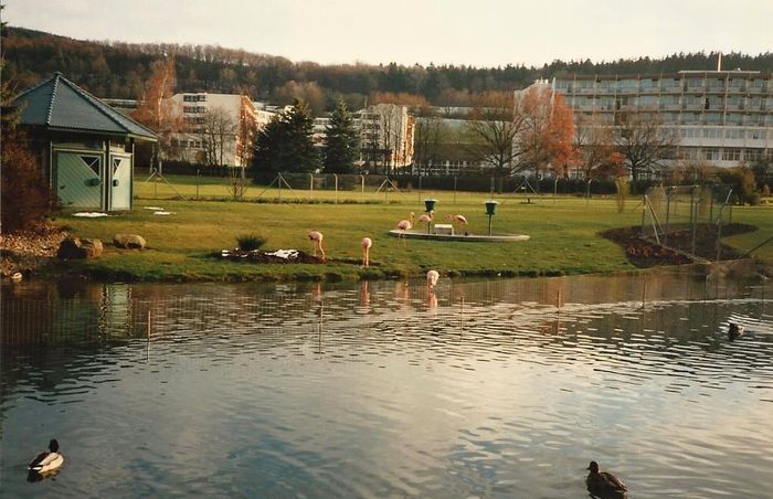 Nutzerbilder Klinik am Kurpark