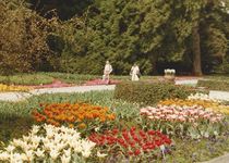 Bild zu Blumeninsel Mainau GmbH , Lennard-Bernadotte-Stiftung , Restaurant Schwedenschenke