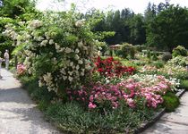 Bild zu Der Kurpark Bad Wörishofen