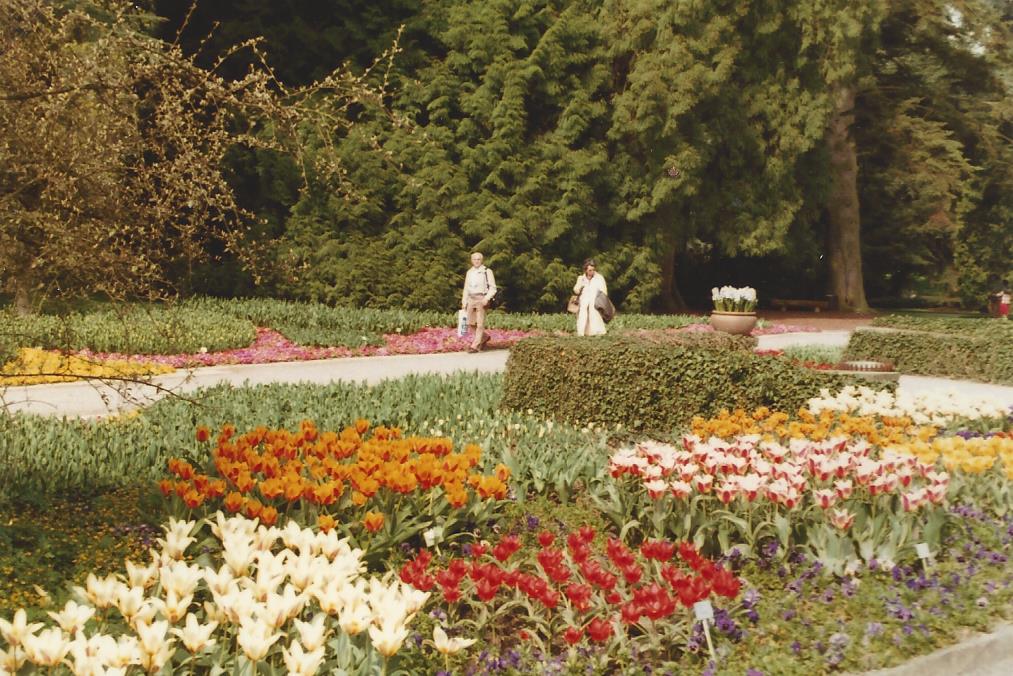 Frühling 
aus der Mainau