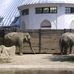 Münchener Tierpark Hellabrunn AG in München