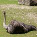 Münchener Tierpark Hellabrunn AG in München