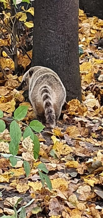 Tierpark Hirschfeld