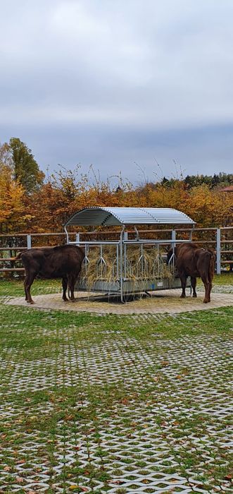 Tierpark Hirschfeld