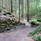 Lochbachklamm und Premiumwanderweg Lochbachpfad in Knüllwald