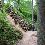 Lochbachklamm und Premiumwanderweg Lochbachpfad in Knüllwald