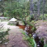 Camping Fichtelsee in Neubau Gemeinde Fichtelberg