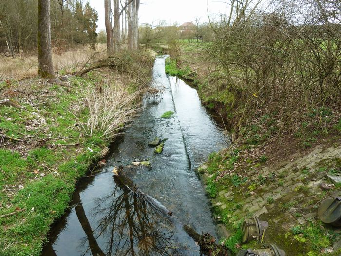 Dietzenbach, Patershausen bei 
der Nachtweide Wasserschutzgebiet