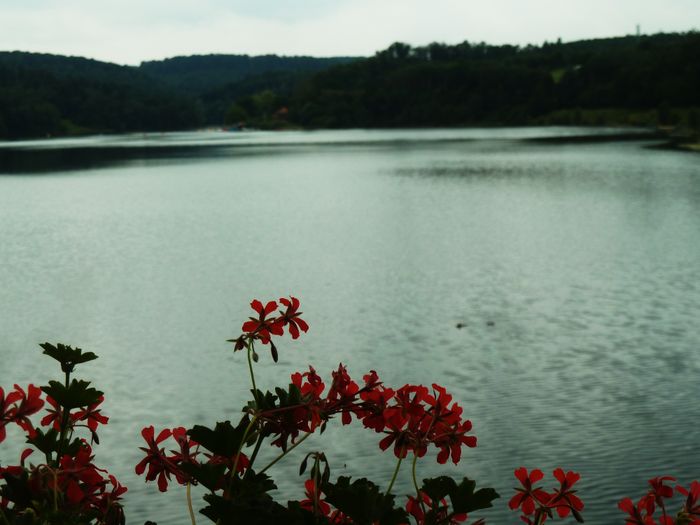 Nutzerbilder Café im See