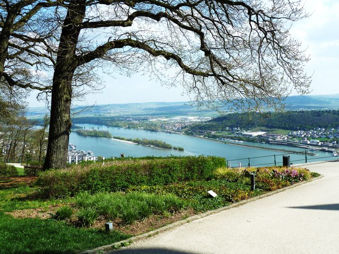 Nutzerbilder Niederwald Gastronomie im