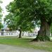 Kaiserdom in Königslutter am Elm