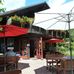 Waldcafe Forellenteich in Braunlage