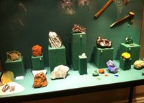 Bild zu Mineralogisches Museum / Centrum für Naturkunde