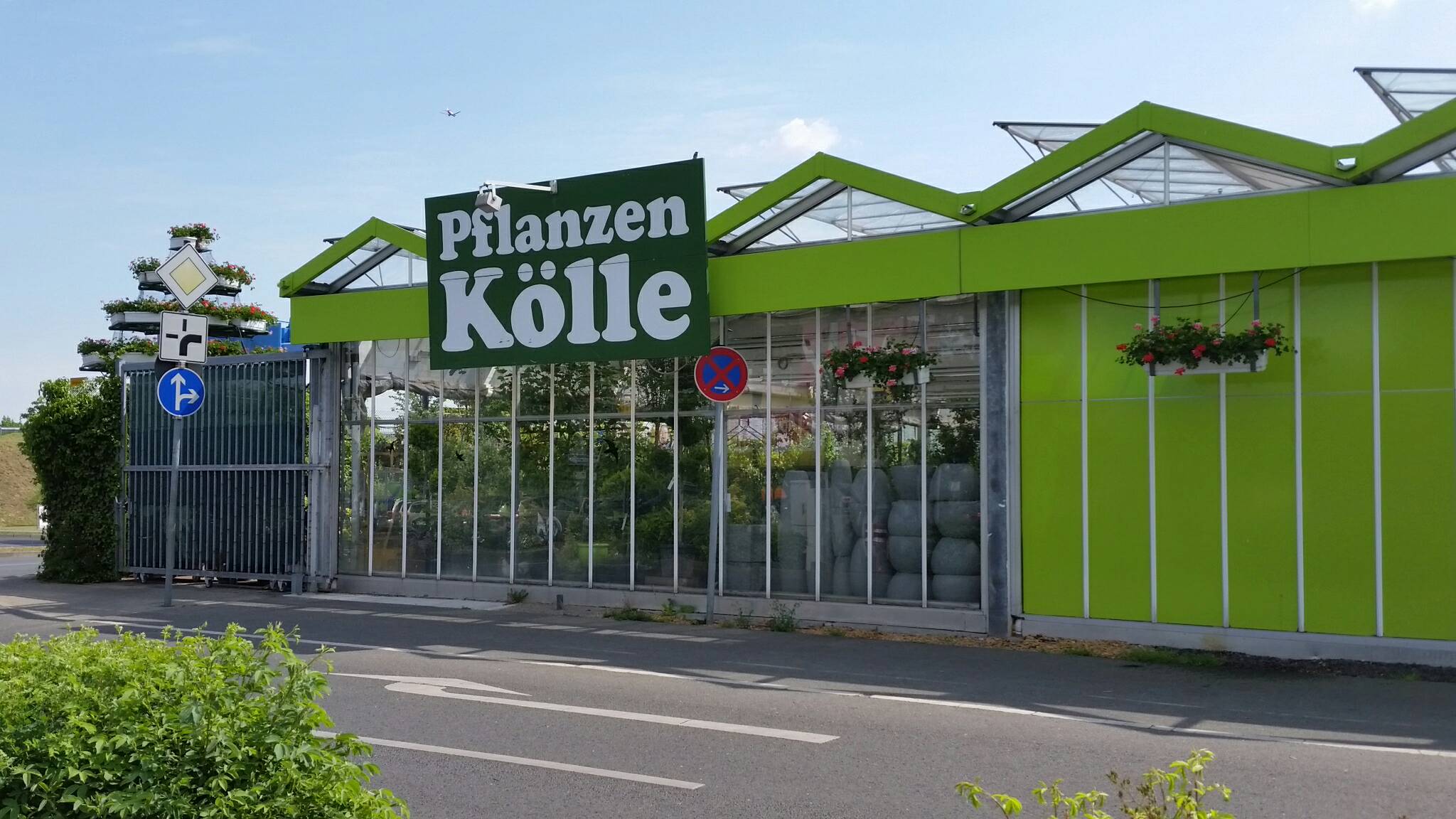 Pflanzen Kölle