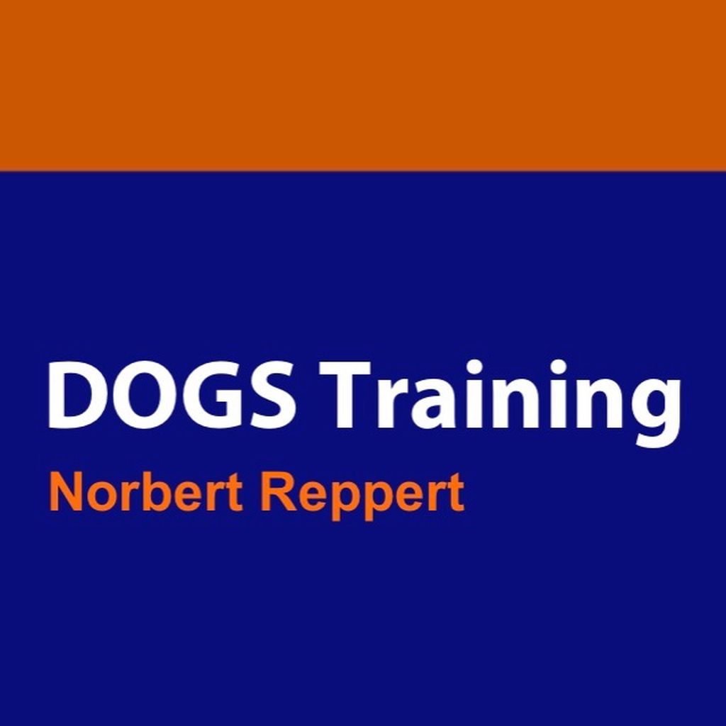Nutzerfoto 3 DOGS Training