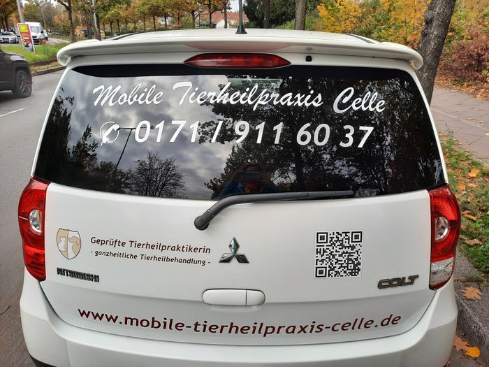 Mobile Tierheilpraxis Celle