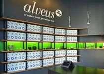 Bild zu alveus® tea-store Alster