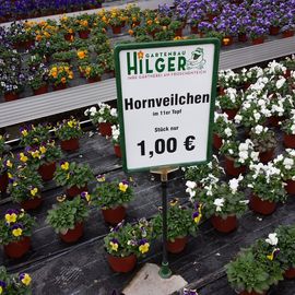 Gartenbau Hilger in Düsseldorf