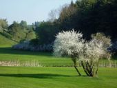 Nutzerbilder Golf-Club Lauterhofen e.V.