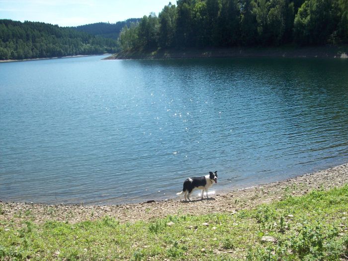 An manchen Stellen kann man sehr nah ans Wasser heran, aber Baden ist natürlich verboten (Trinkwasserstausee)