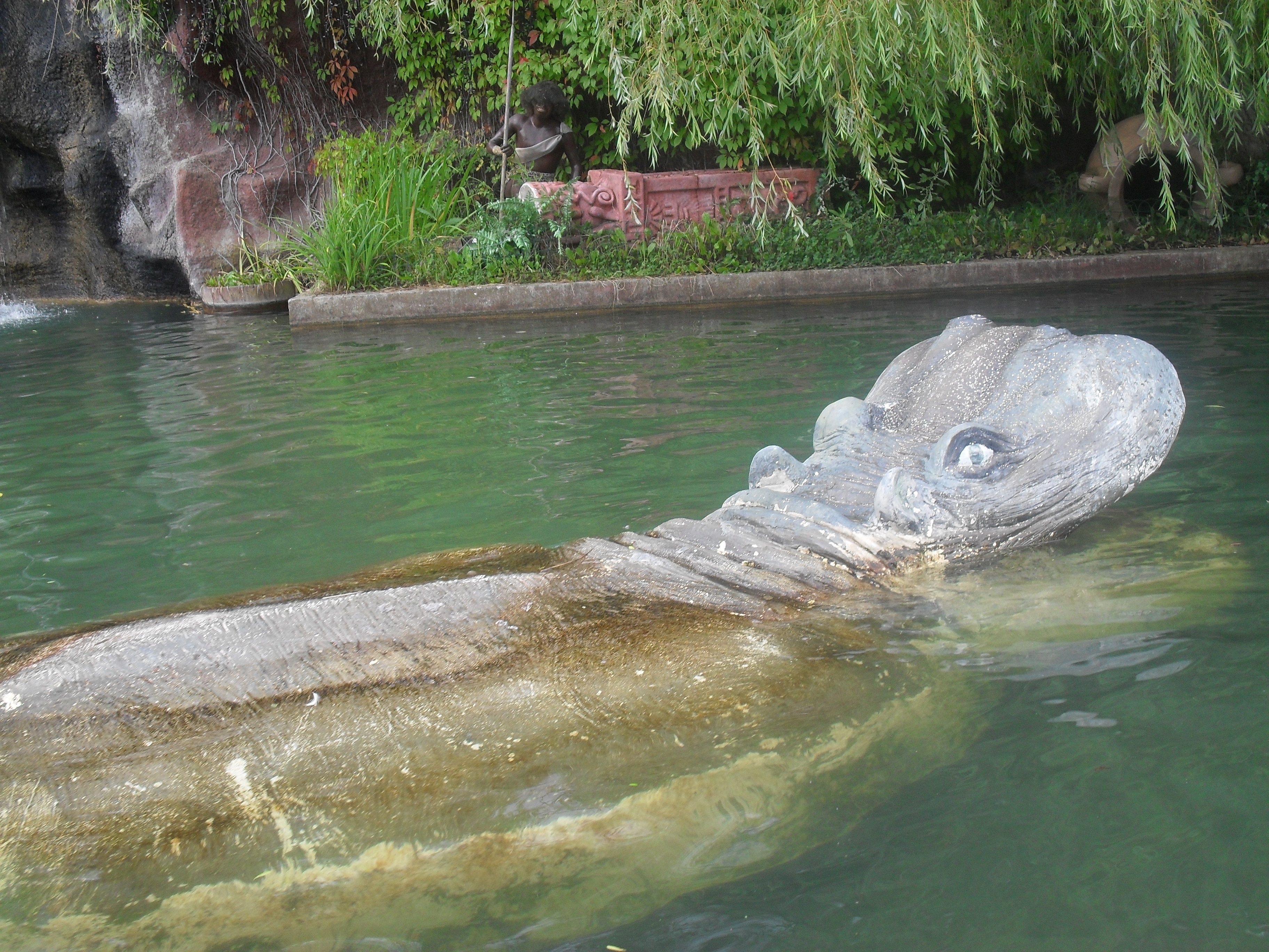 Ein Nilpferd taucht aus dem Wasser auf....