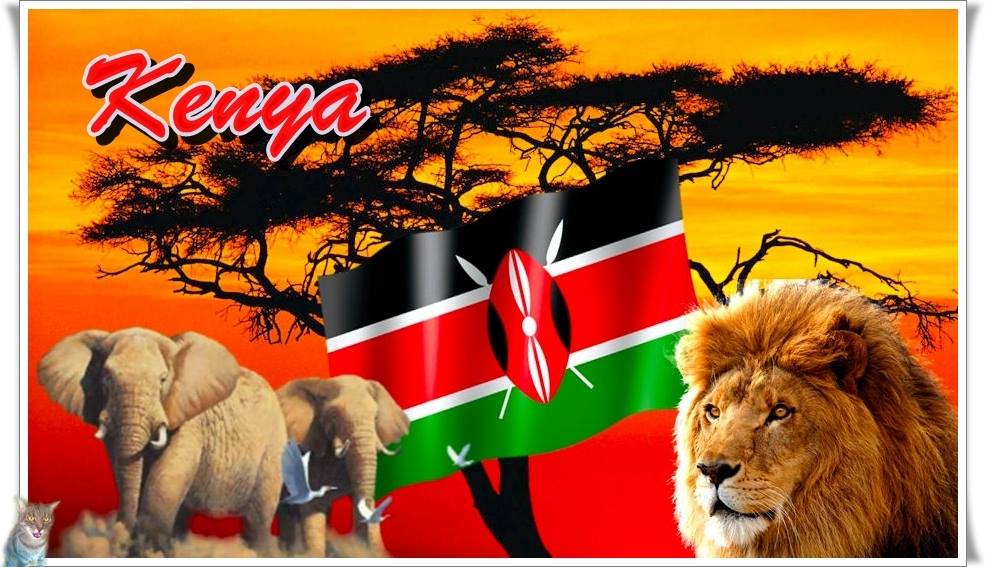 Keniaurlaub mit Safari